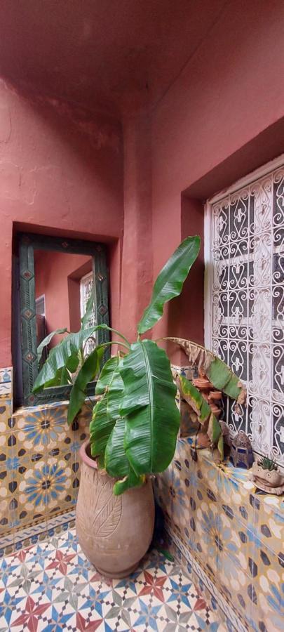 Riad Kainos Марракеш Екстер'єр фото